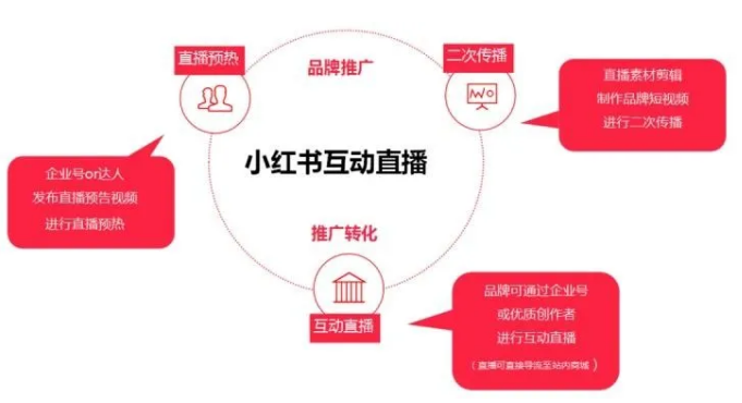 小紅書(shū)直播