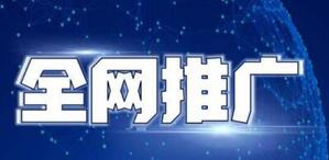 企業(yè)全網營銷推廣