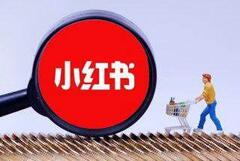 品牌主在小紅書上的KOL選擇時需要考慮哪些因素？